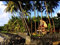 The Jackfruit Tree at Beach Bungalow 