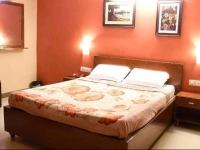 Hotel Ganesh Palace 