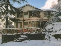 The Pine Palace 