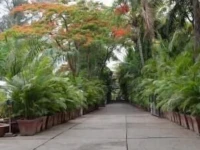 Hotel Kala Sagar 3*