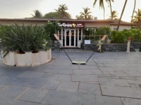 Mgm Beach Resorts 