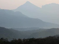 Bio Veda Ayurvedic Hill resort 