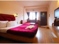 Vista Rooms at Ooty Lake 