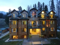 Hotel Pine Spring Gulmarg 2*