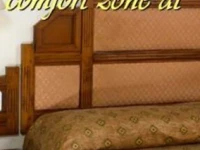 Comfort Inn Grand 3*