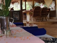 Banyan Tree Yoga 