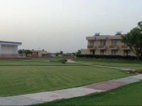 Treehouse Dwarka Neemrana 