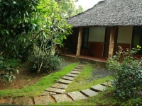 Wayanad Coffee County 