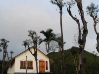 Tea Terrace Vythiri 