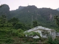 Saumyas 