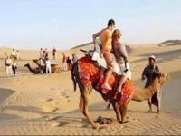 Desert Safari Experts 