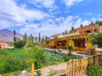 Nubra Ecolodge 