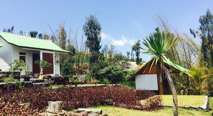 Black Lava Hostel 