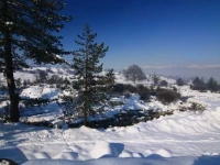 Fortuna Apart Bansko 
