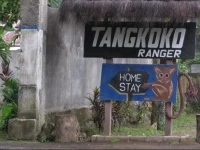 Tangkoko Ranger Homestay 