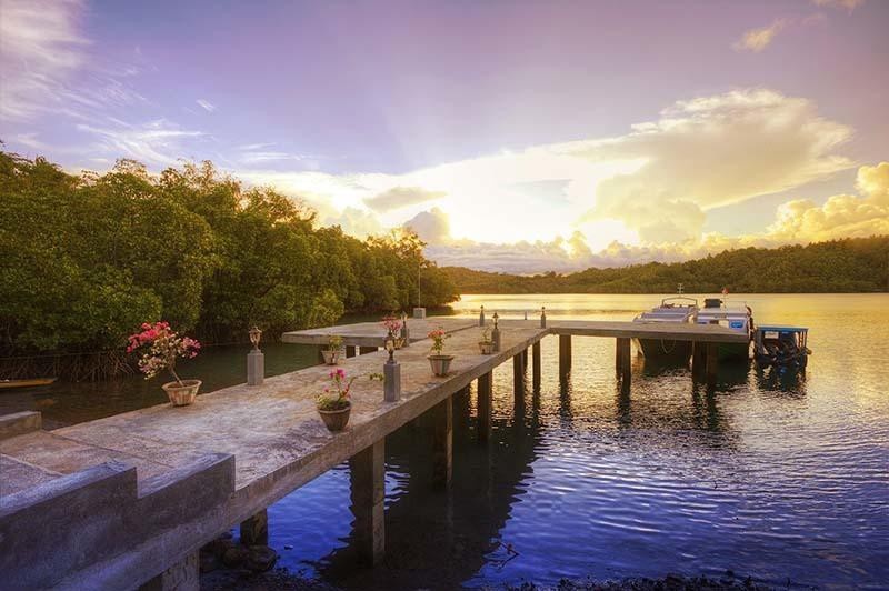 Honey Bay Resort Lembeh 