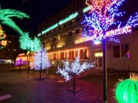 Пекинский сад отель 3*