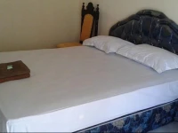Ally Guest House 