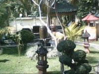 Lovina Green Villa 4*