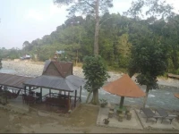 Rain Forest Guest House 