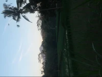 Thani Villa 
