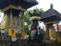 Adi House Homestay 