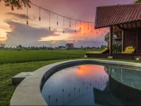 Big Brother Surf Inn 