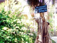 Black Sand Homestay 