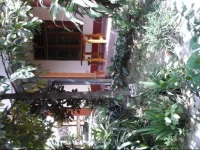 Radiah Homestay 