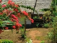 Balenta Homestay 