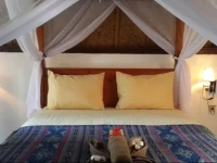 Limitless Homestay 
