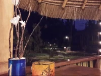Oasi Bungalows 