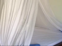 Alby Homestay 