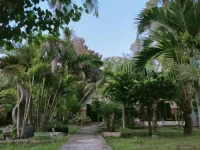 Dea Gili Cottages 