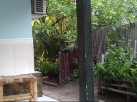 Funny Homestay III 