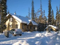 Tuohikontti 