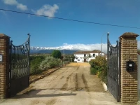 Almazara de Paulenca 