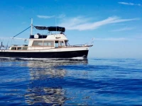 Maverick Sea 