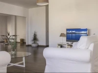 Drago Shadows Apartments 