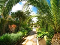 Penthouse Venalmar 