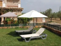 Ses Oliveres dEs Convent 