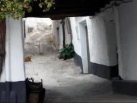 Apartamentos Alizul 