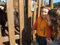 Alojamiento Rural Las Maravillas 