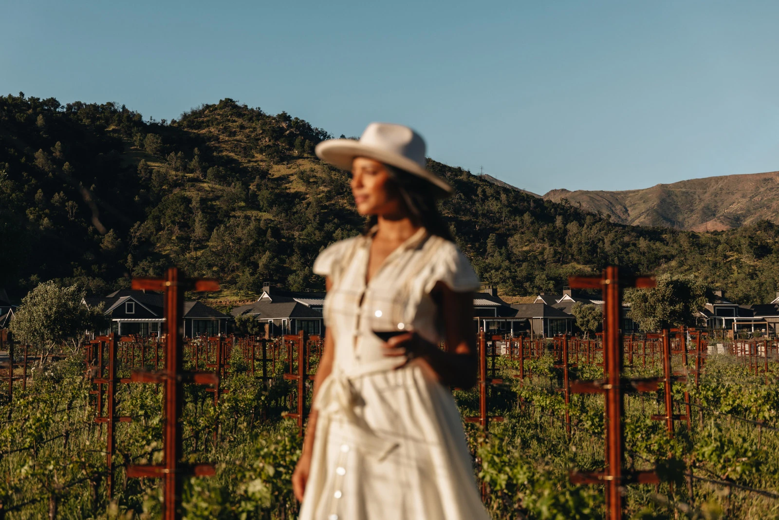 Four Seasons Resort and Residences Napa Valley представляет новые винодельческие впечатления в Калистоге к сезону сбора урожая 2026