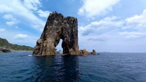 Тур "Морской заповедник"