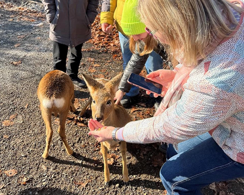 Тур "Семейное путешествие во Владивосток"