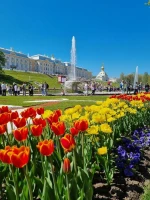 ОТКРЫТИЕ ФОНТАНОВ В ПЕТЕРГОФЕ