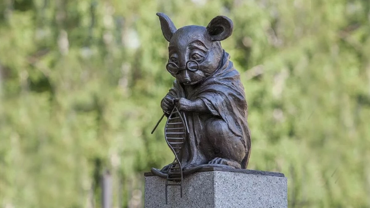 Лаврентьев тур