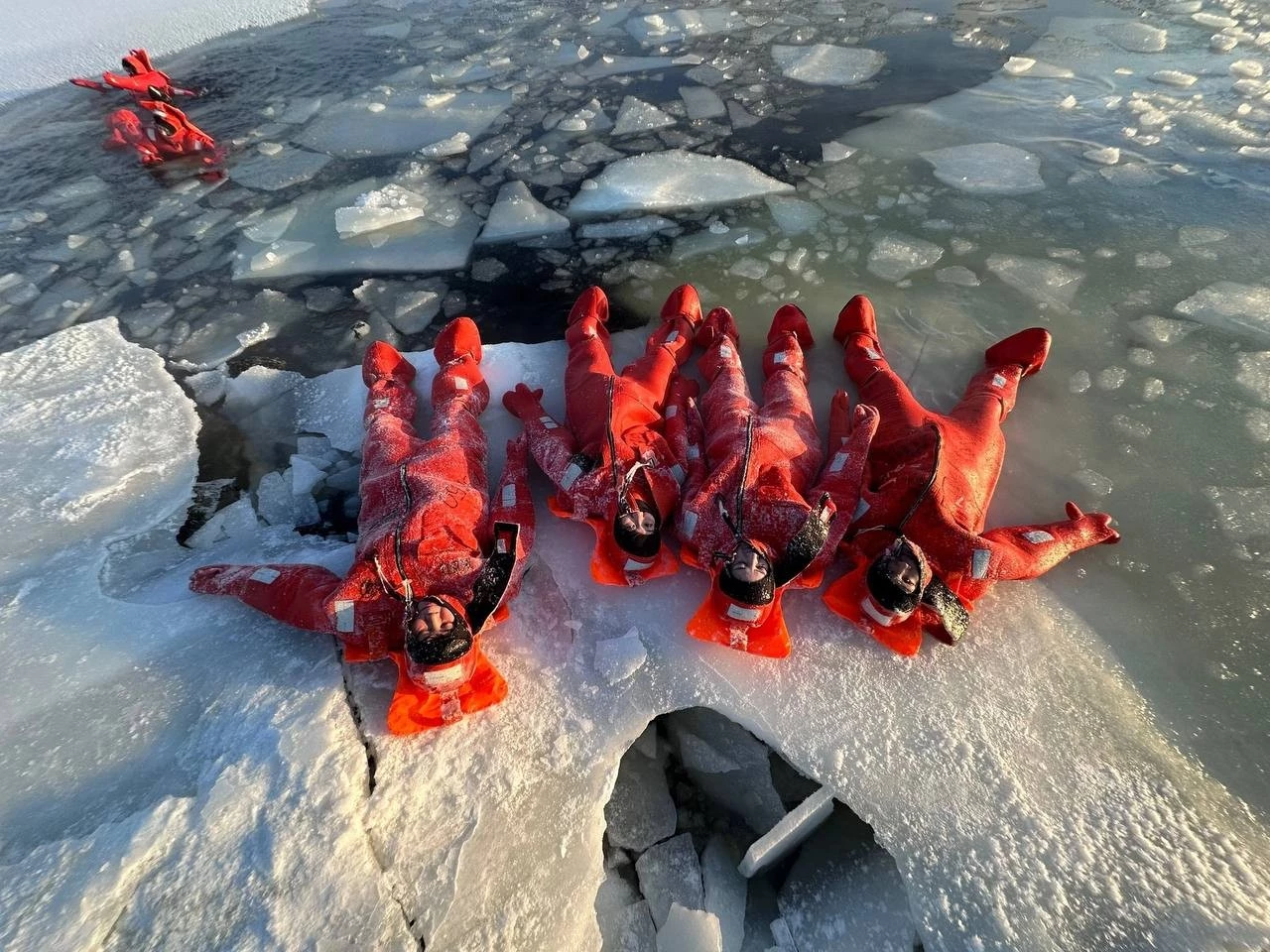 Полярные каникулы