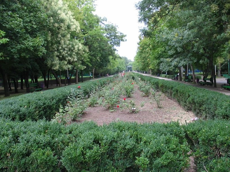 Ейск город